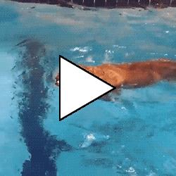 Без комментария