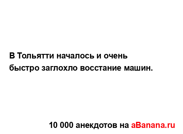 В Тольятти началось и очень быстро заглохло восстание...