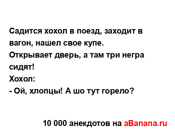 Садится хохол в поезд, заходит в вагон, нашел свое...