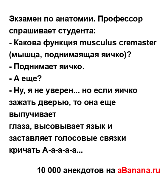 Экзамен по анатомии. Профессор спрашивает студента:
...