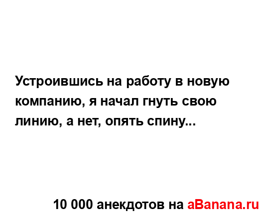 Устроившись на работу в новую компанию, я начал гнуть...