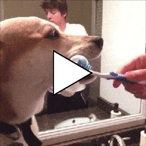 Без комментария