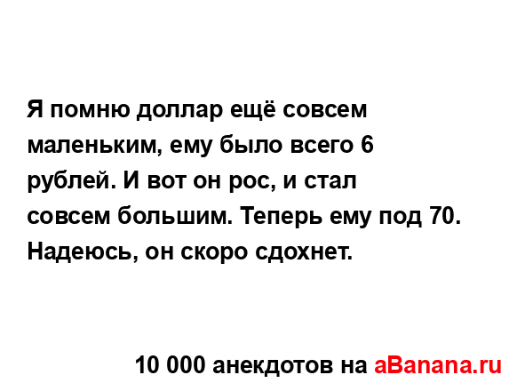 Я помню доллар ещё совсем маленьким, ему было всего 6...