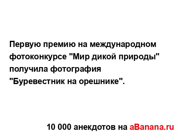 Первую премию на международном фотоконкурсе "Мир...