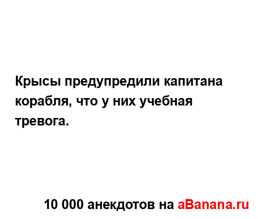 Крысы предупредили капитана корабля, что у них учебная...