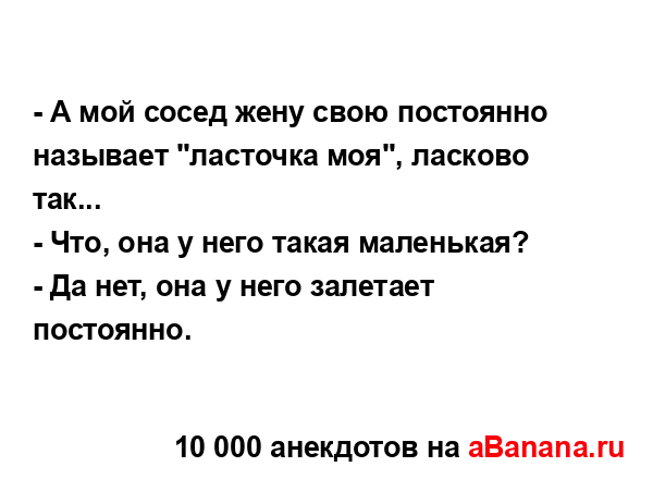 - А мой сосед жену свою постоянно называет "ласточка...