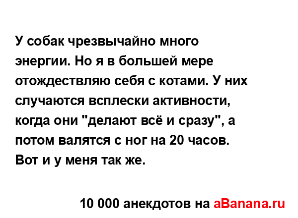 У собак чрезвычайно много энергии. Но я в большей мере...