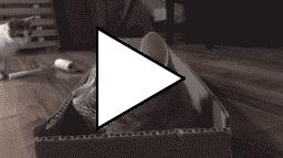 Без комментария