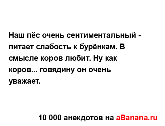 Наш пёс очень сентиментальный - питает слабость к...