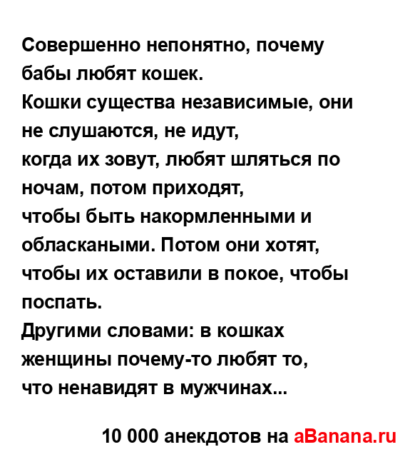 Совершенно непонятно, почему бабы любят кошек....