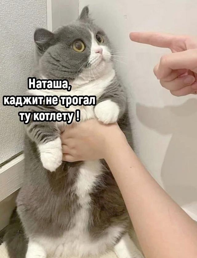 Армяне все на одно лицо