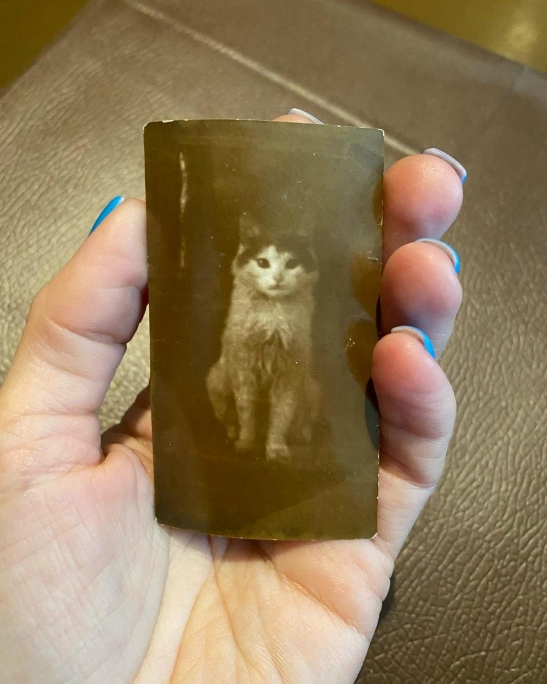 это фото уже несколько поколений передается друг другу