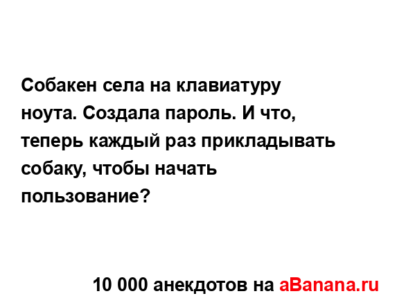 Собакен села на клавиатуру ноута. Создала пароль. И...