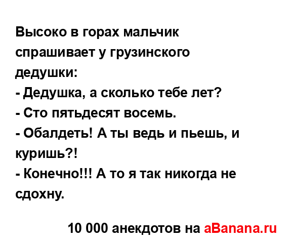 Высоко в горах мальчик спрашивает у грузинского...