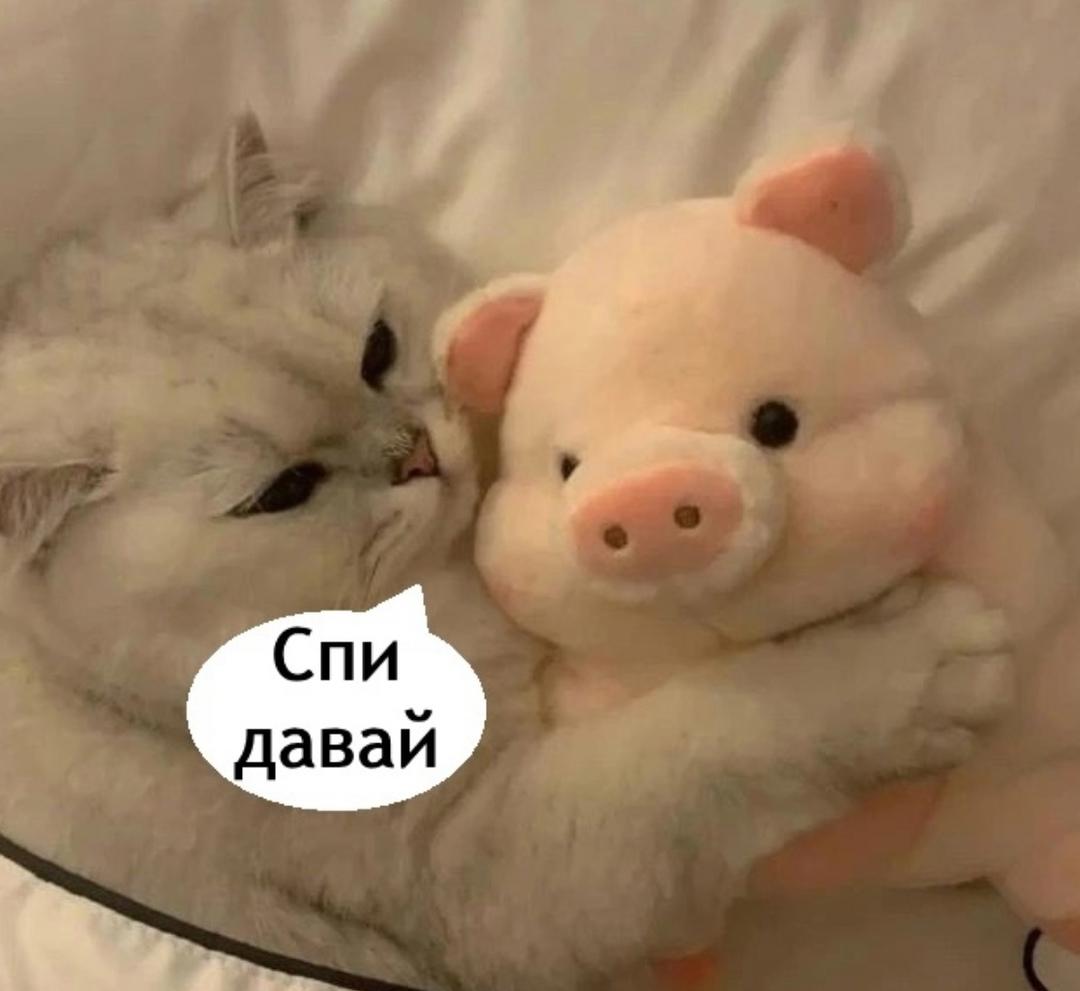 С девушками такое часто бывает