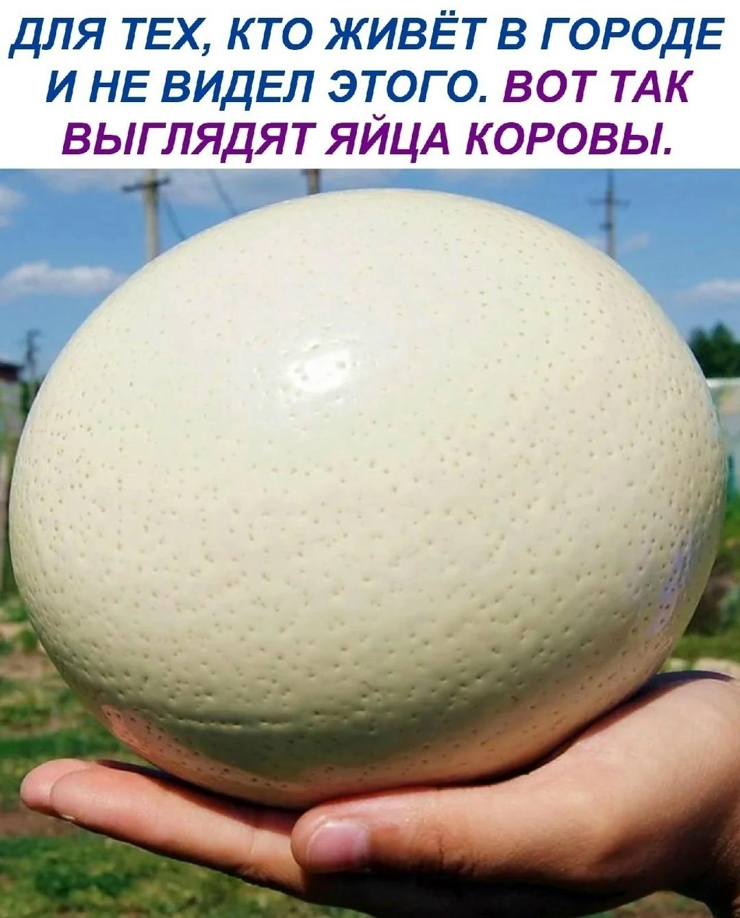 Это еще что такое