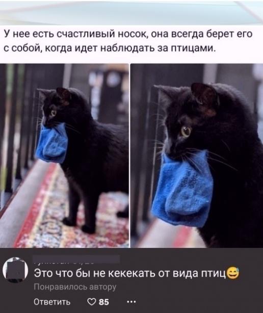 Γлyшитeль взял