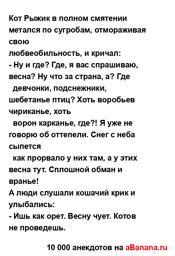 Кот Рыжик в полном смятении метался по сугробам,...