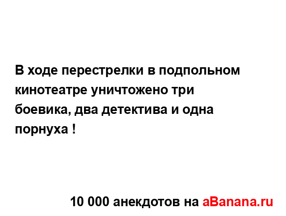 В ходе перестрелки в подпольном кинотеатре уничтожено...