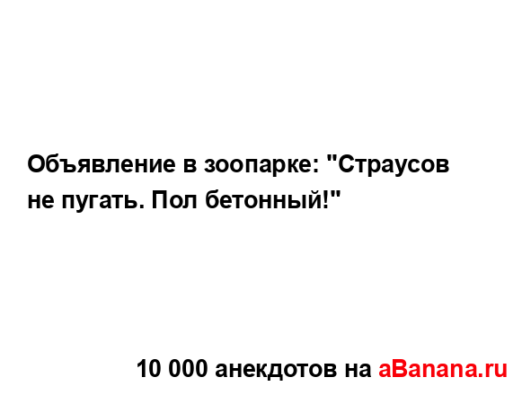 Объявление в зоопарке: "Страусов не пугать. Пол...