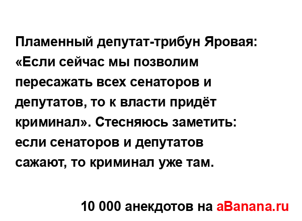 Пламенный депутат-трибун Яровая: «Если сейчас мы...