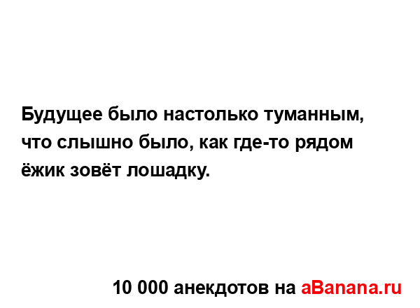 Будущее было настолько туманным, что слышно было, как...