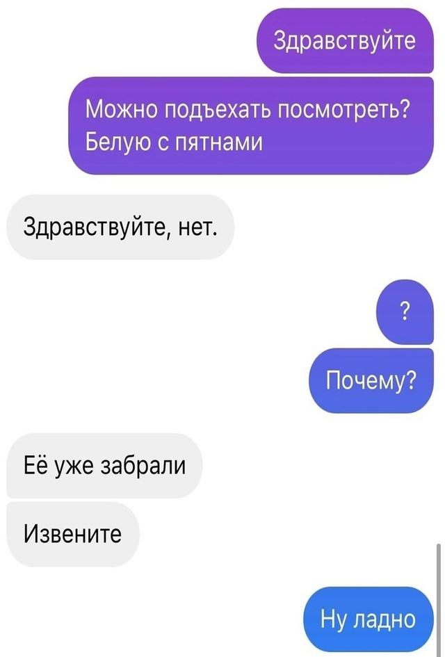 Без комментария