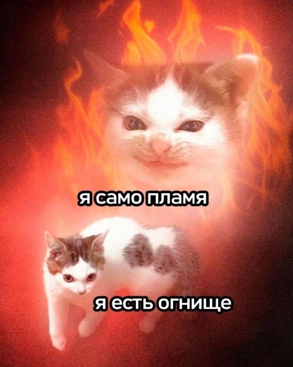 А какой сегодня ты