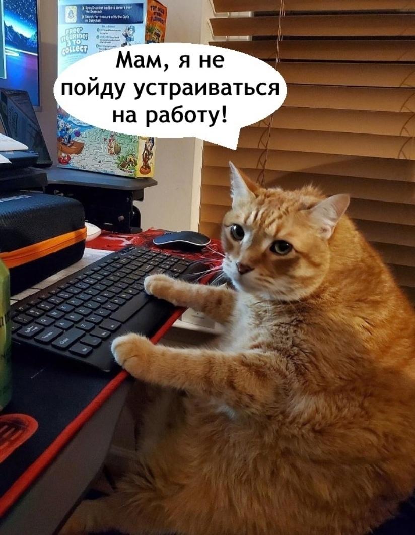 Ну дай Бог