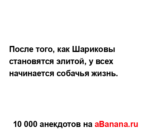 После того, как Шариковы становятся элитой, у всех...