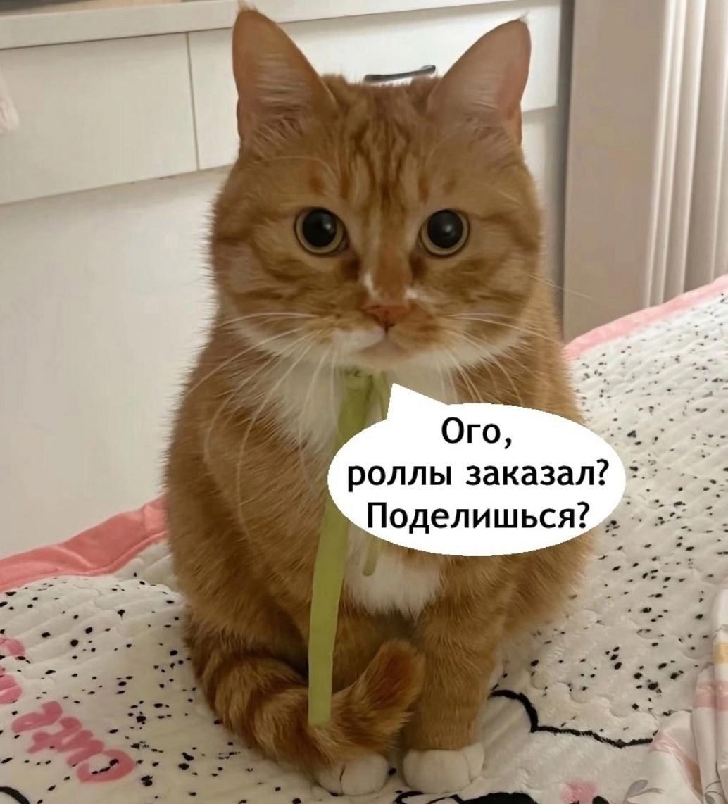 Попытка не пытка как говорится