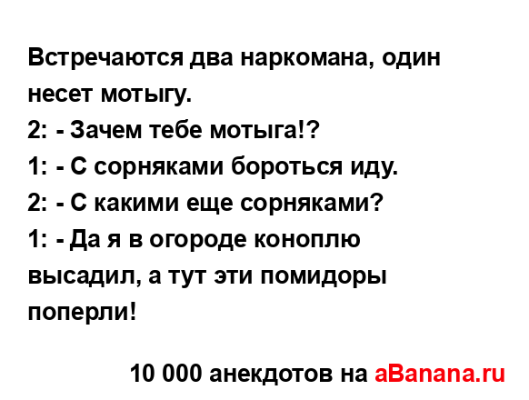 Встречаются два наркомана, один несет мотыгу.
...