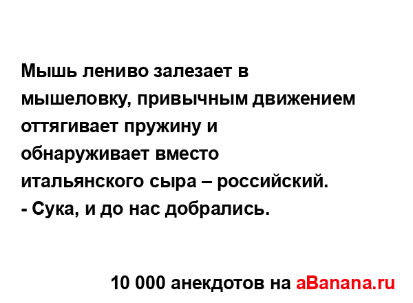 Мышь лениво залезает в мышеловку, привычным движением...