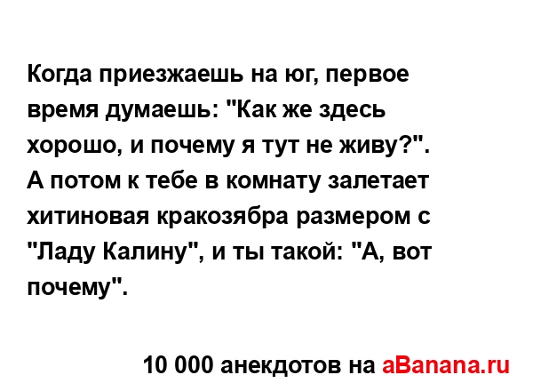 Когда приезжаешь на юг, первое время думаешь: "Как же...