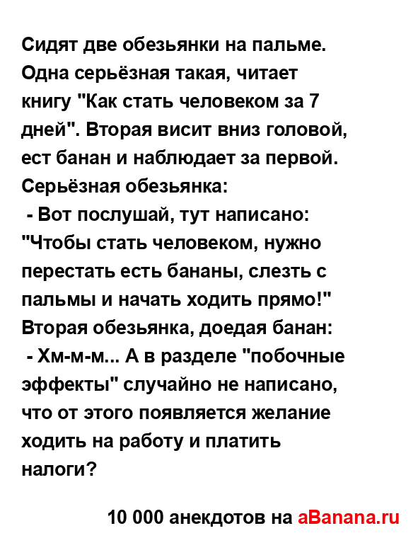 Сидят две обезьянки на пальме. Одна серьёзная такая,...
