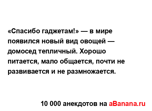 «Спасибо гаджетам!» — в мире появился новый вид овощей...