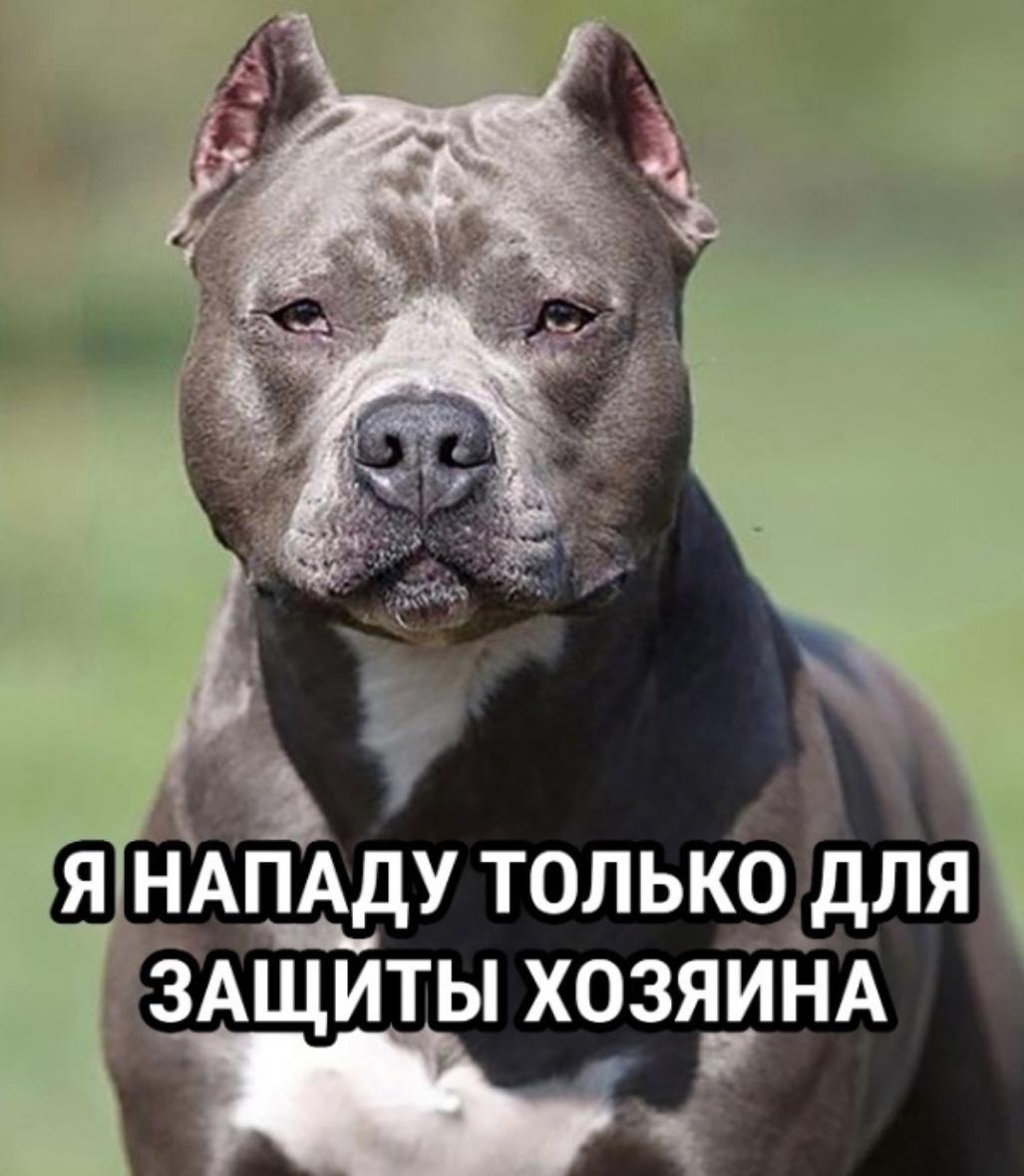 Последний самый опасный вид