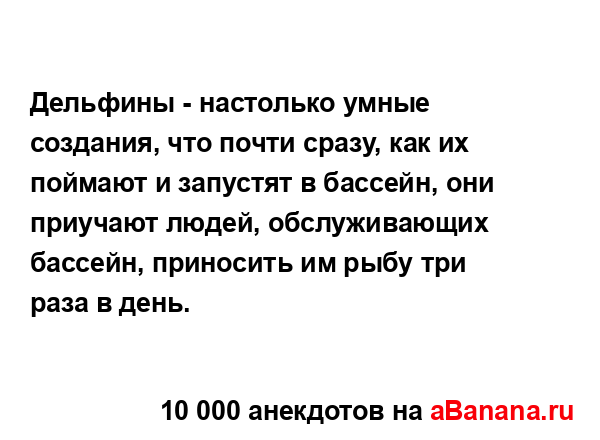 Дельфины - настолько умные создания, что почти сразу,...