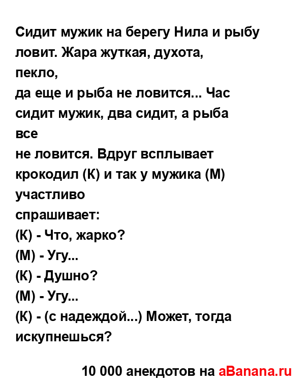 Сидит мужик на берегу Нила и рыбу ловит. Жара жуткая,...