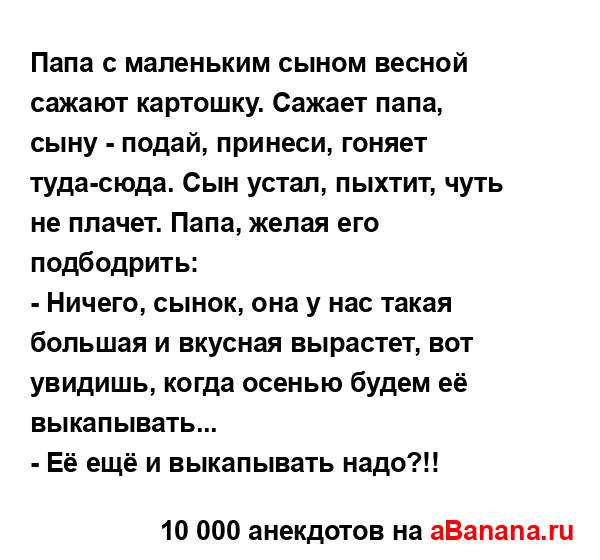 Папа с маленьким сыном весной сажают картошку. Сажает...