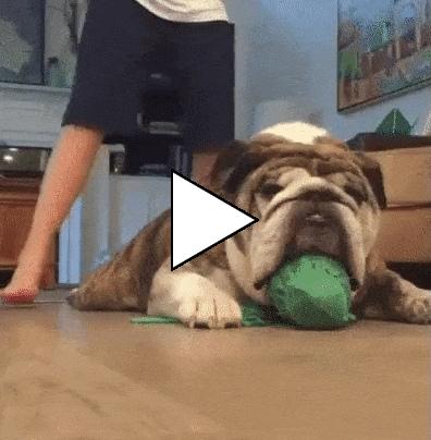 Без комментария