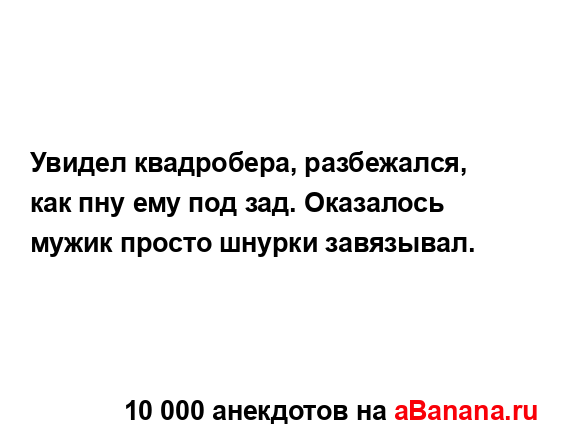 Увидел квадробера, разбежался, как пну ему под зад....