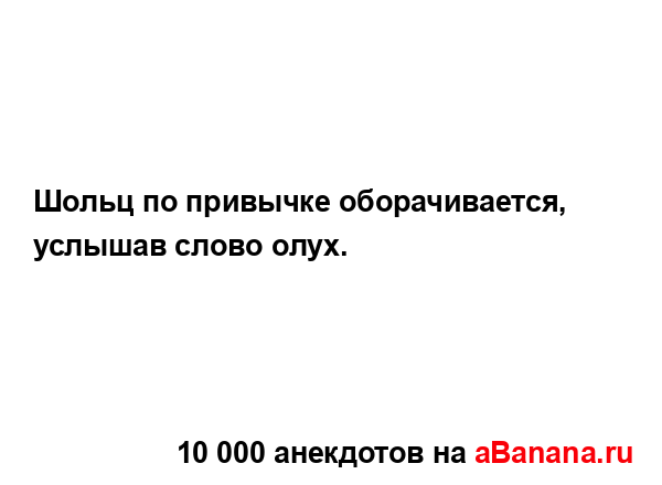 Шольц по привычке оборачивается, услышав слово олух....