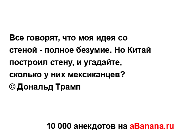 Все говорят, что моя идея со стеной - полное безумие. Но...