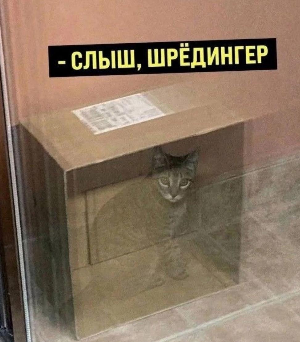 Это что за фокусы такие