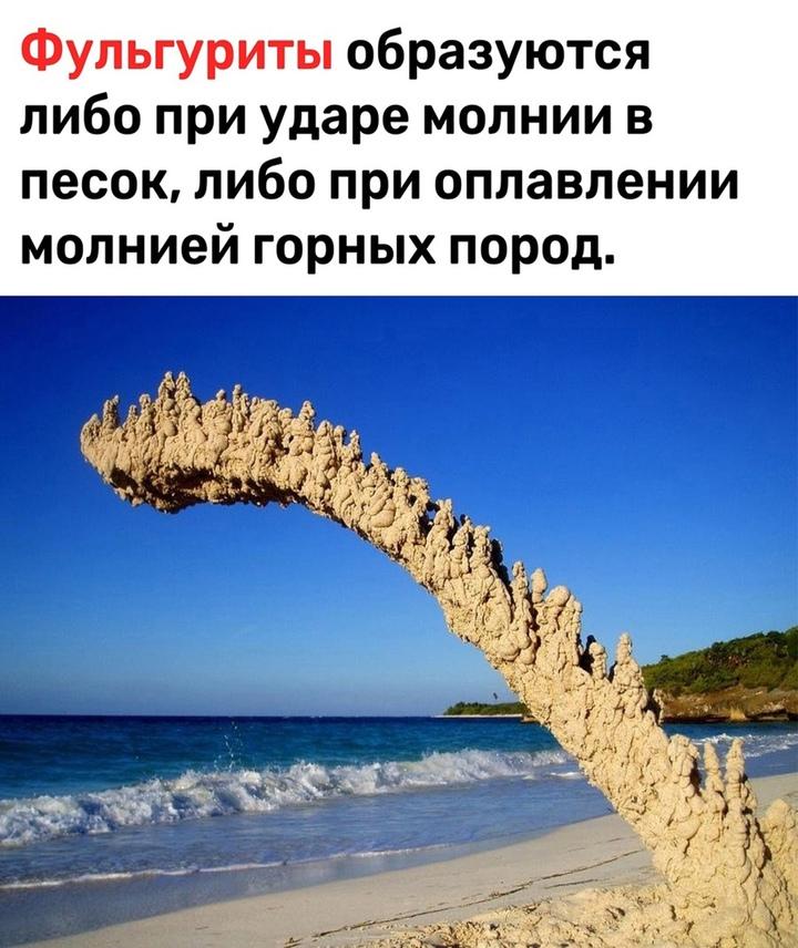 Без комментария