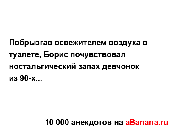 Побрызгав освежителем воздуха в туалете, Борис...