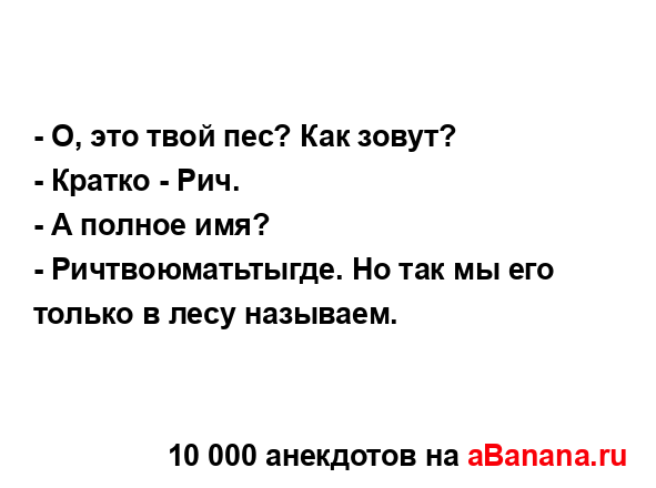 - О, это твой пес? Как зовут?...