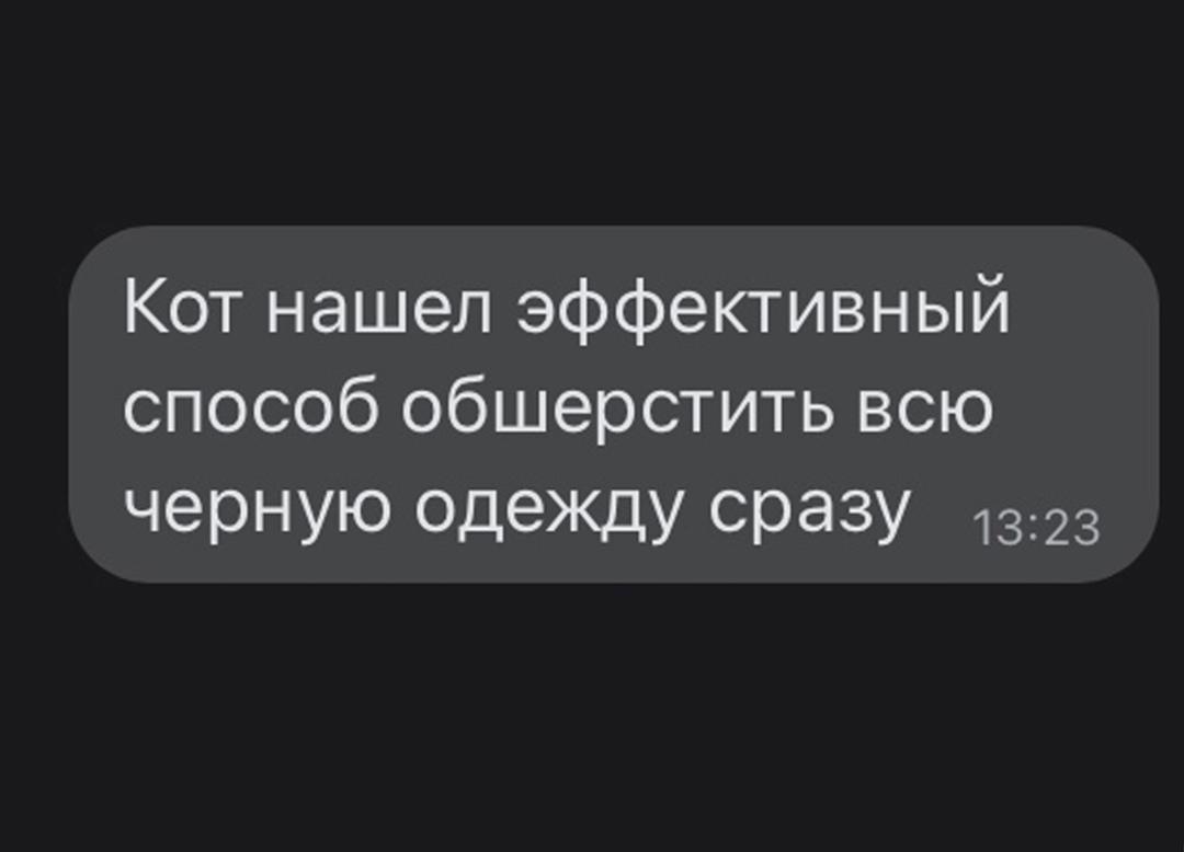 Коварность котов не знает границ