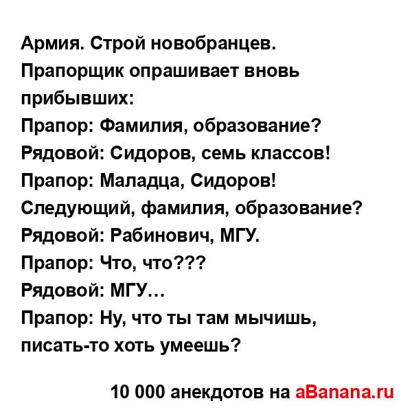 Армия. Строй новобранцев. Прапорщик опрашивает вновь...